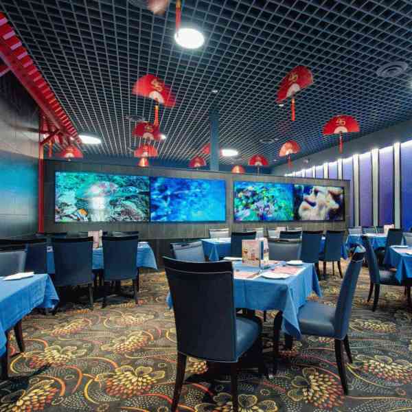 Try Speed Dating for a low price at Mandarin Barton In: Hamilton event area 2 Speed Dating @ Mandarin Barton (Hamilton) event area 2